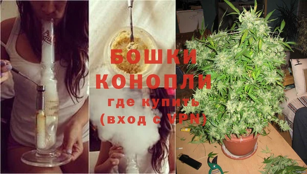 ешки Беломорск