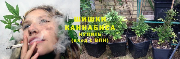 прущие грибы Верхнеуральск