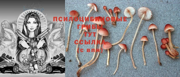 прущая мука Бронницы