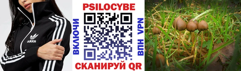 купить наркоту  Воткинск  Псилоцибиновые грибы MAGIC MUSHROOMS 
